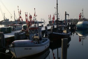Een jachthaven met afgemeerde boten, waaronder een boot waarop 'RED 006' staat.