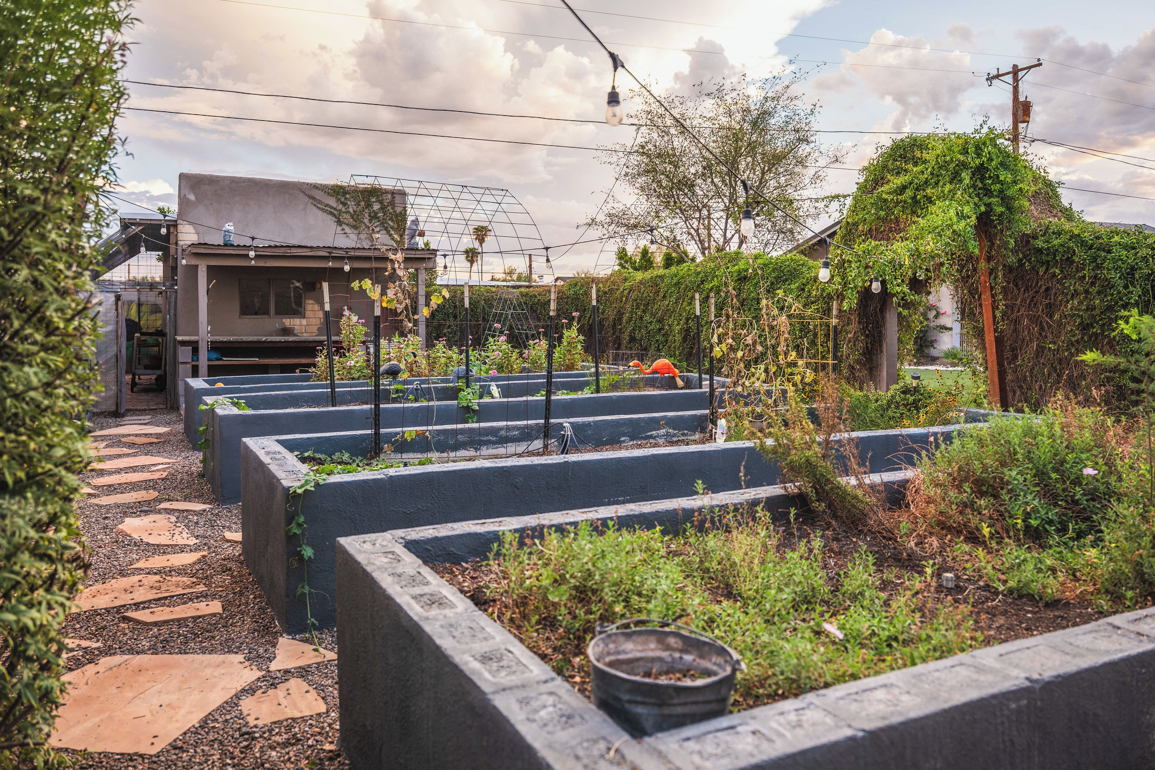 A garden with raised beds, a pathway, and a building in the background.
