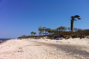 A beach with sand, sparse vegetation, and a clear sky. - "At the Old Smallholder's Farm" (Prerow)