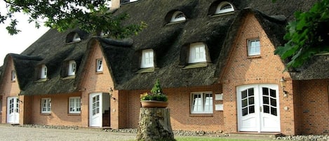 A row of traditional brick houses with thatched roofs and white-framed windows.