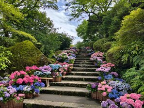 A staircase surrounded by lush greenery and vibrant flowers.
