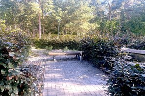 A paved pathway with a bench, surrounded by dense foliage and trees. - Holiday apartment with 2 bedrooms (Koserow)