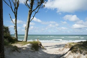 A beach with sand dunes, trees, and the ocean. - Holiday apartment with 2 bedrooms (Zingst)