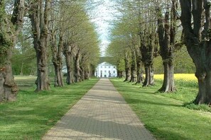A paved pathway flanked by trees leading to a building with a symmetrical facade.