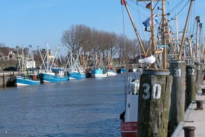 A marina with several boats docked, wooden posts with numbers, and a clear sky. - Quarter 6 Apartment 5 (Büsum)