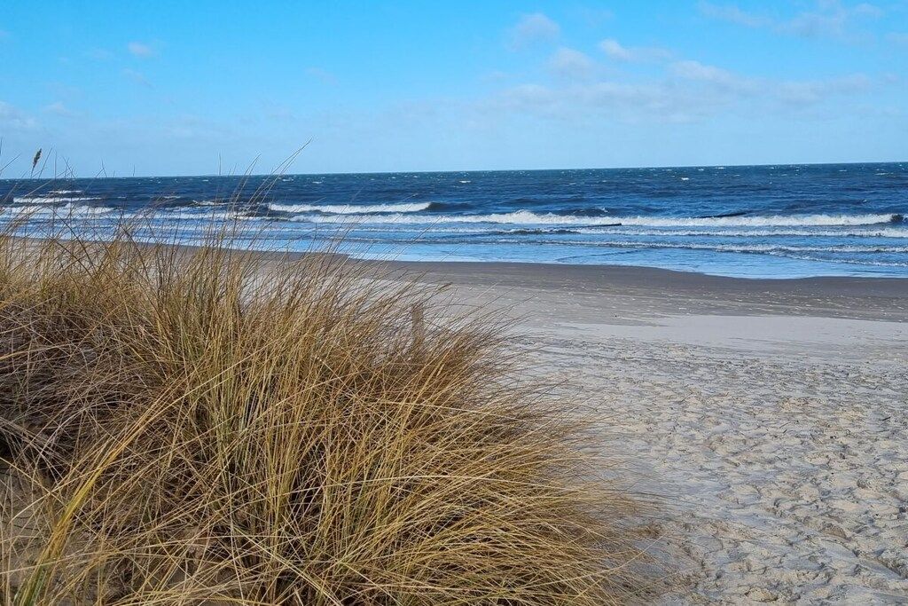 A beach with sand and waves, and dry grass in the foreground.