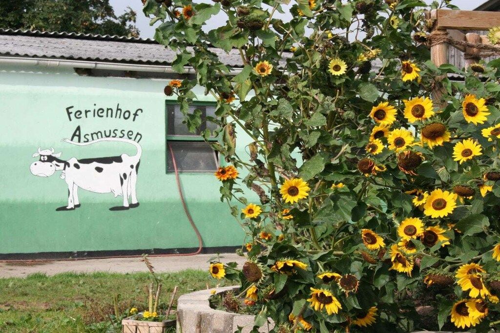 A green building with a mural of a cow and the text 'Ferienhof Asmussen.'