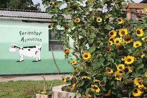 Un edificio verde con un mural de una vaca y el texto 'Ferienhof Asmussen'.