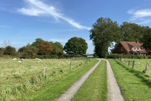 A rural landscape with a gravel path leading to a red house, surrounded by greenery and sheep grazing. - Holiday apartment Hell (Wesselburener Deichhausen)