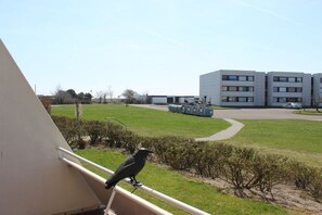 A bird on a balcony railing overlooking a grassy area with a building in the background. - Holiday apartment with 2 bedrooms (Fehmarn)