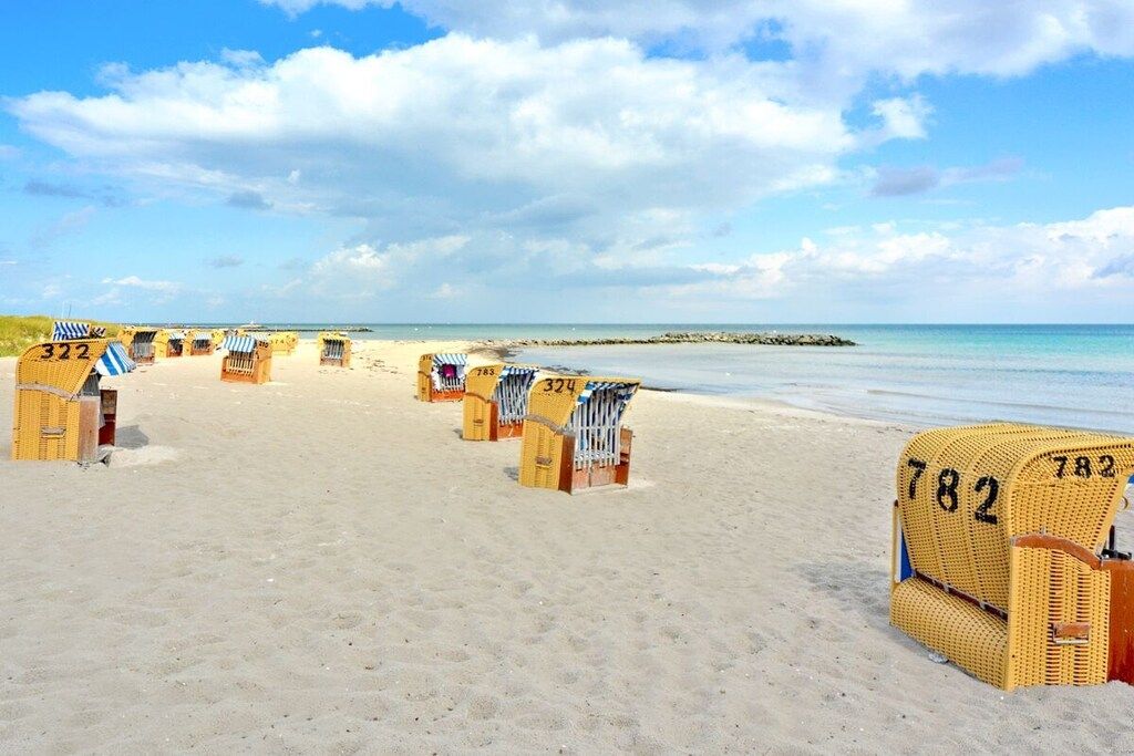 A beach with rows of numbered beach chairs and umbrellas.