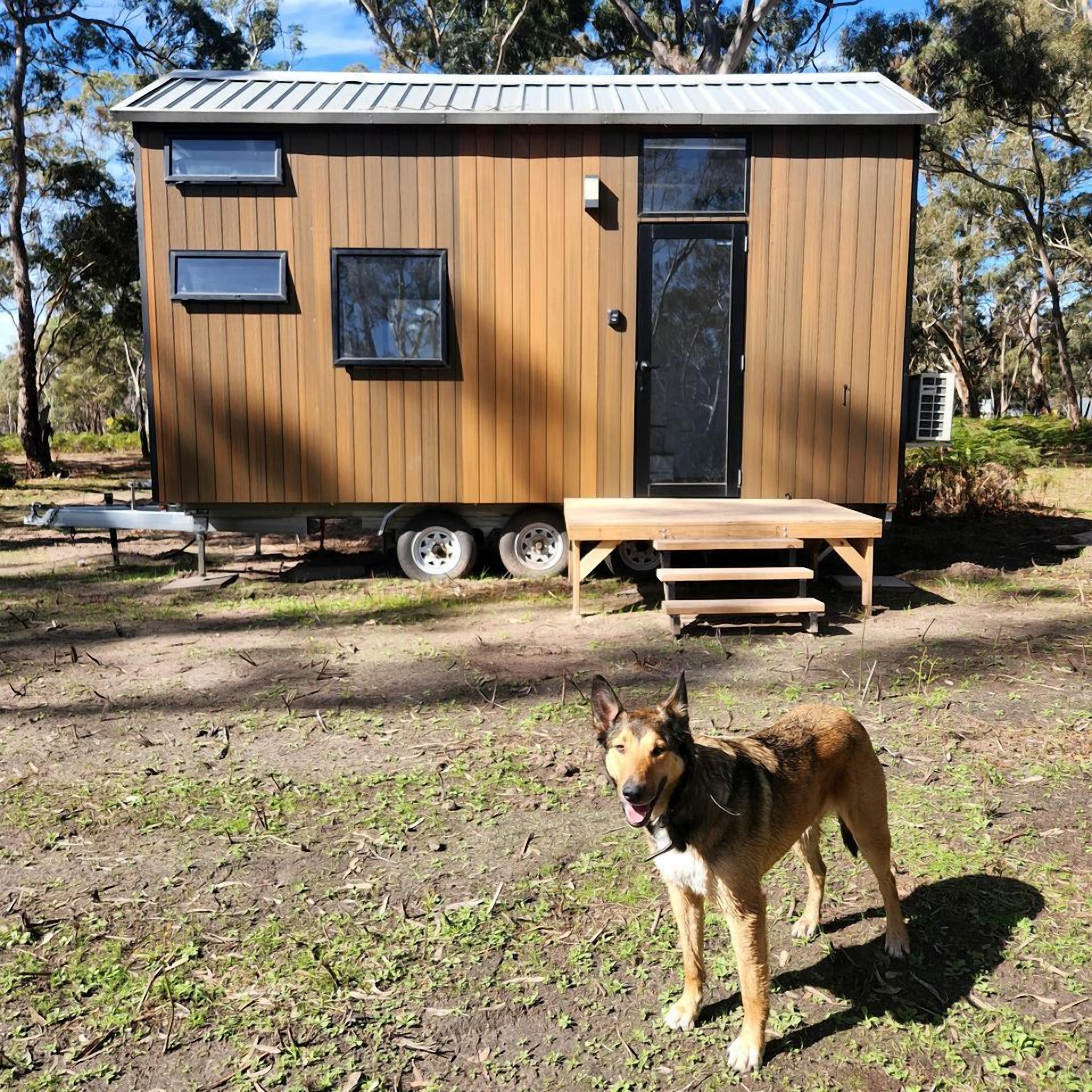 Una pequeña cabaña de madera con una puerta corredera, un banco y un perro adelante.