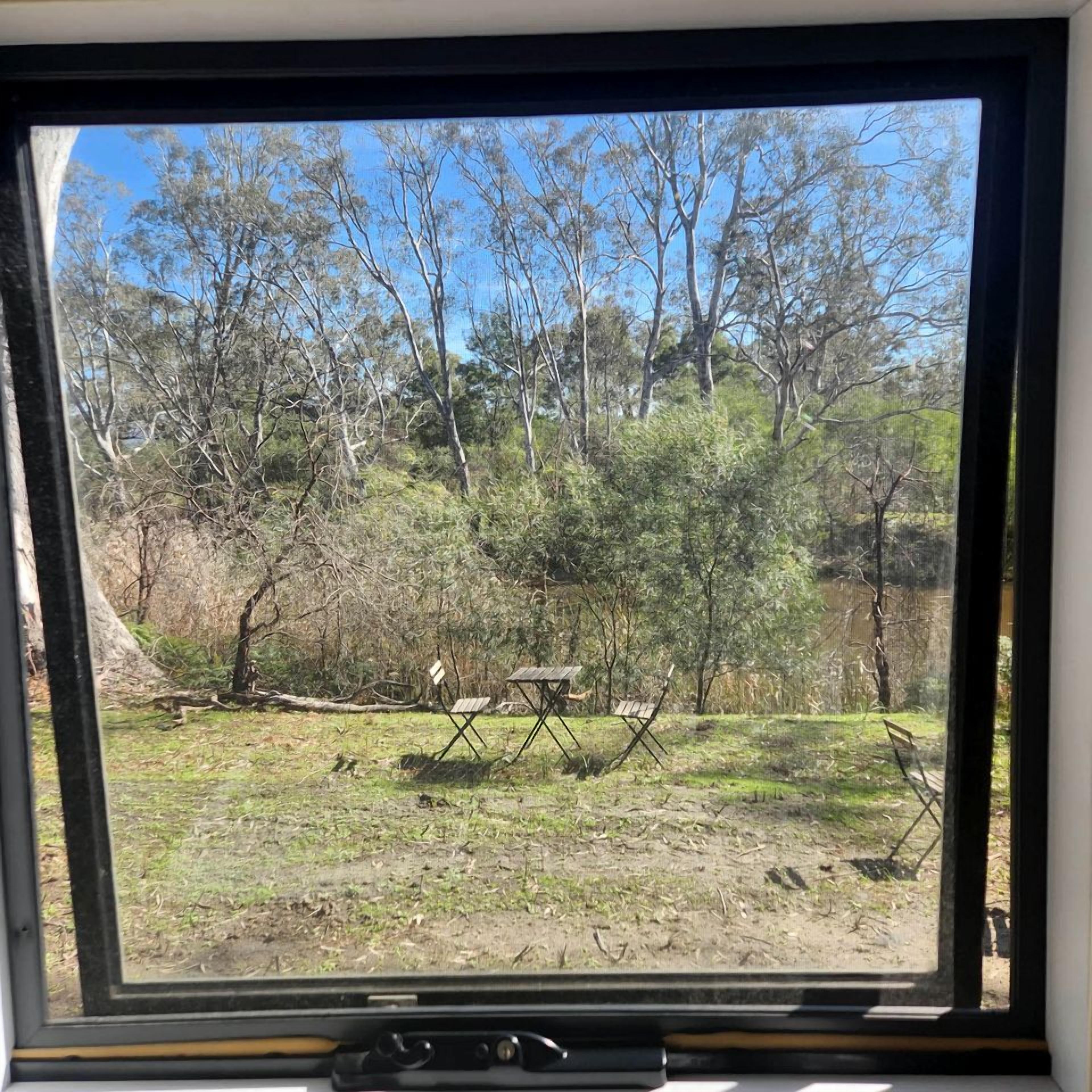 Une vue par la fenêtre sur un paysage naturel, avec des arbres et une zone herbeuse.