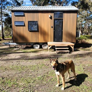 En hyggelig træhytte med skydedør, bænk og en hund foran.