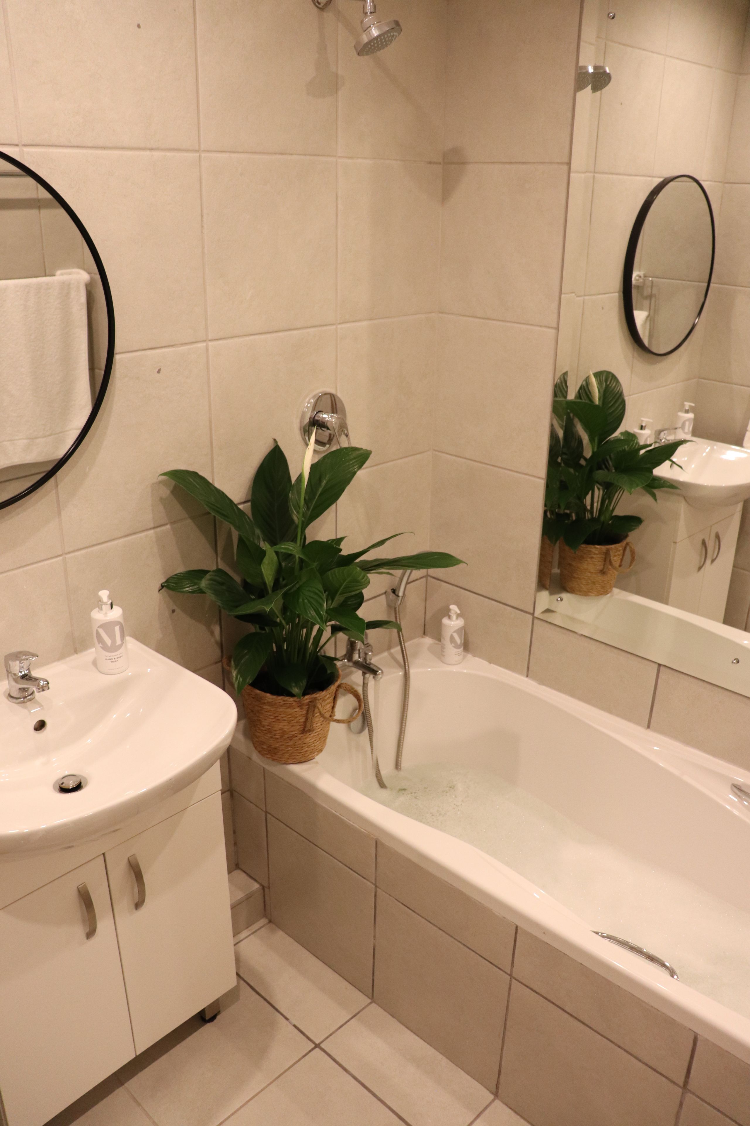 A bathroom with a bathtub, a sink, a mirror, and a potted plant.