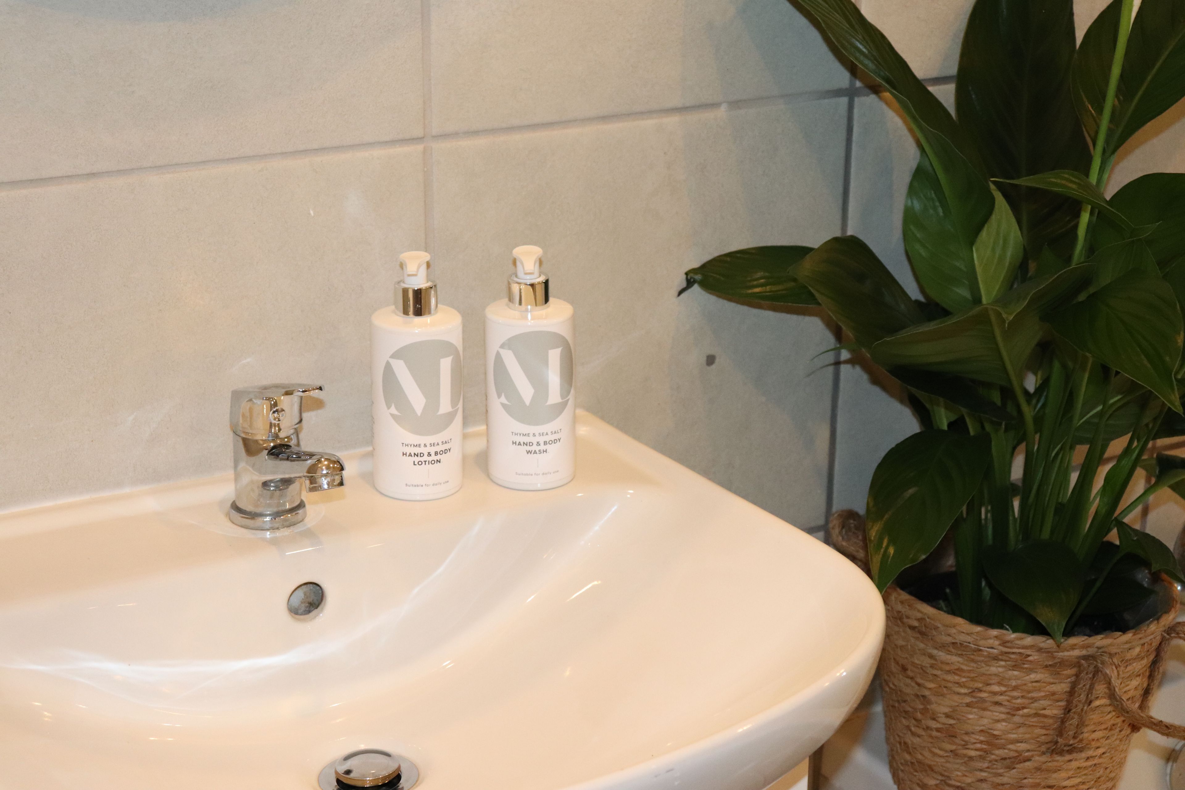 A bathroom sink with two bottles of hand and body wash, a faucet, and a potted plant.