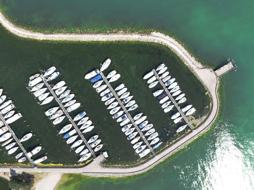 Vista aérea de un puerto deportivo con numerosas embarcaciones amarradas en una disposición organizada.