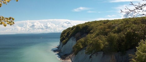 A coastal landscape with a cliff overlooking a calm sea, surrounded by dense greenery.
