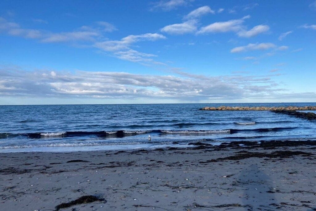 A beach with waves, a clear sky, and a rocky breakwater.