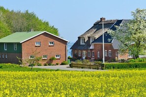 A residential area with two brick houses, one with a green roof and another with a grey roof, surrounded by a field of yellow flowers. - Holiday apartment with 2 bedrooms (Westerholz)