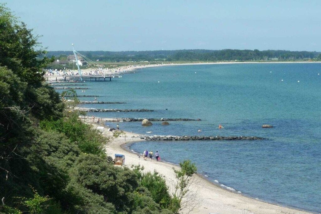 A coastal area with a beach, a pier, and a forested area.