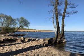 A natural landscape with a sandy beach, a body of water, and trees. - Apartment in Plau am See with swimming pool (Plau am See)