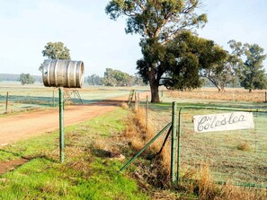 Paisaje rural con un barril metálico, un cartel que dice 'Coleslea' y un árbol grande.