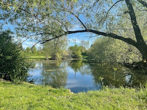 En stilla och fridfull vy över en flod med klar himmel, frodig grönska och ett lugnt vatten.