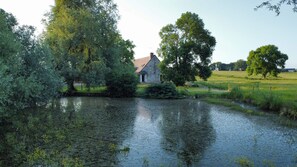 Ein Haus an einem Teich, umgeben von Bäumen und einer Wiese.