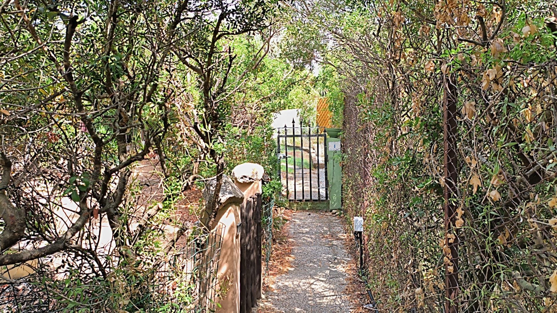A pathway leading to a gated entrance surrounded by dense foliage.