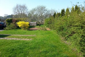 A grassy area with a wooden fence, trees, and a parked car. - Holiday home with 3 bedrooms (Ostseebad Prerow)
