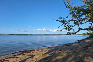 Una platja amb aigua tranquil·la, un cel serè i un arbre a la dreta.