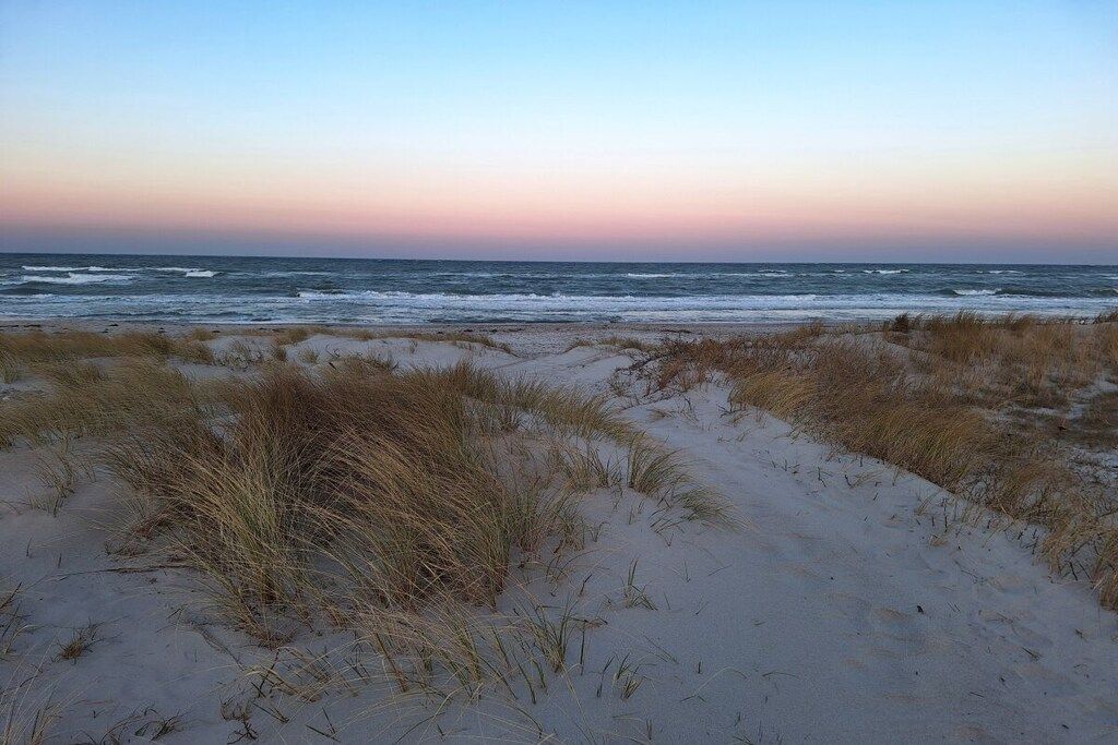 Una playa con arena y césped.