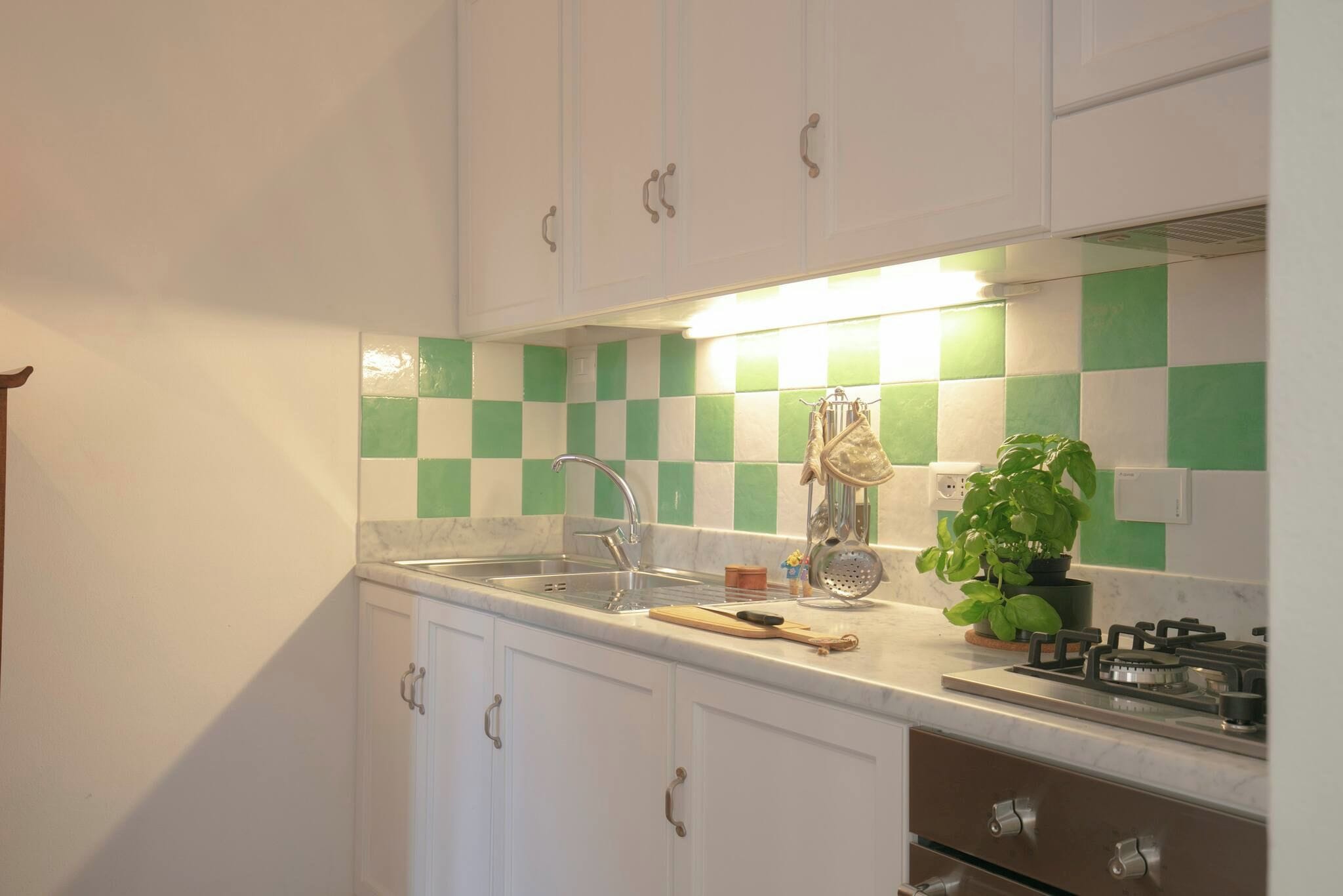 A kitchen with white cabinets, a green and white checkered backsplash, a sink, a stove, and a potted plant.