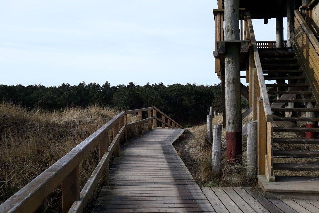 A wooden boardwalk leading to a wooden staircase.