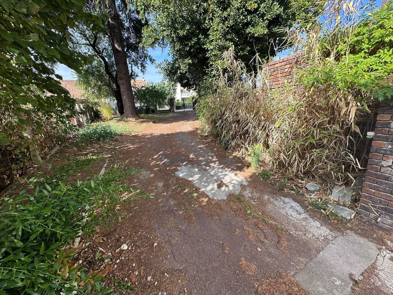 A pathway leading through a garden with a brick wall on one side and a tree-lined path on the other.