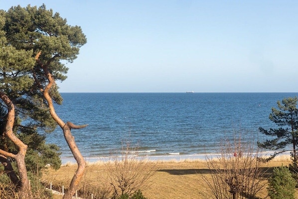 Eine Küstenlandschaft mit Strand, einem Baum und einem Schiff in der Ferne auf dem Wasser.