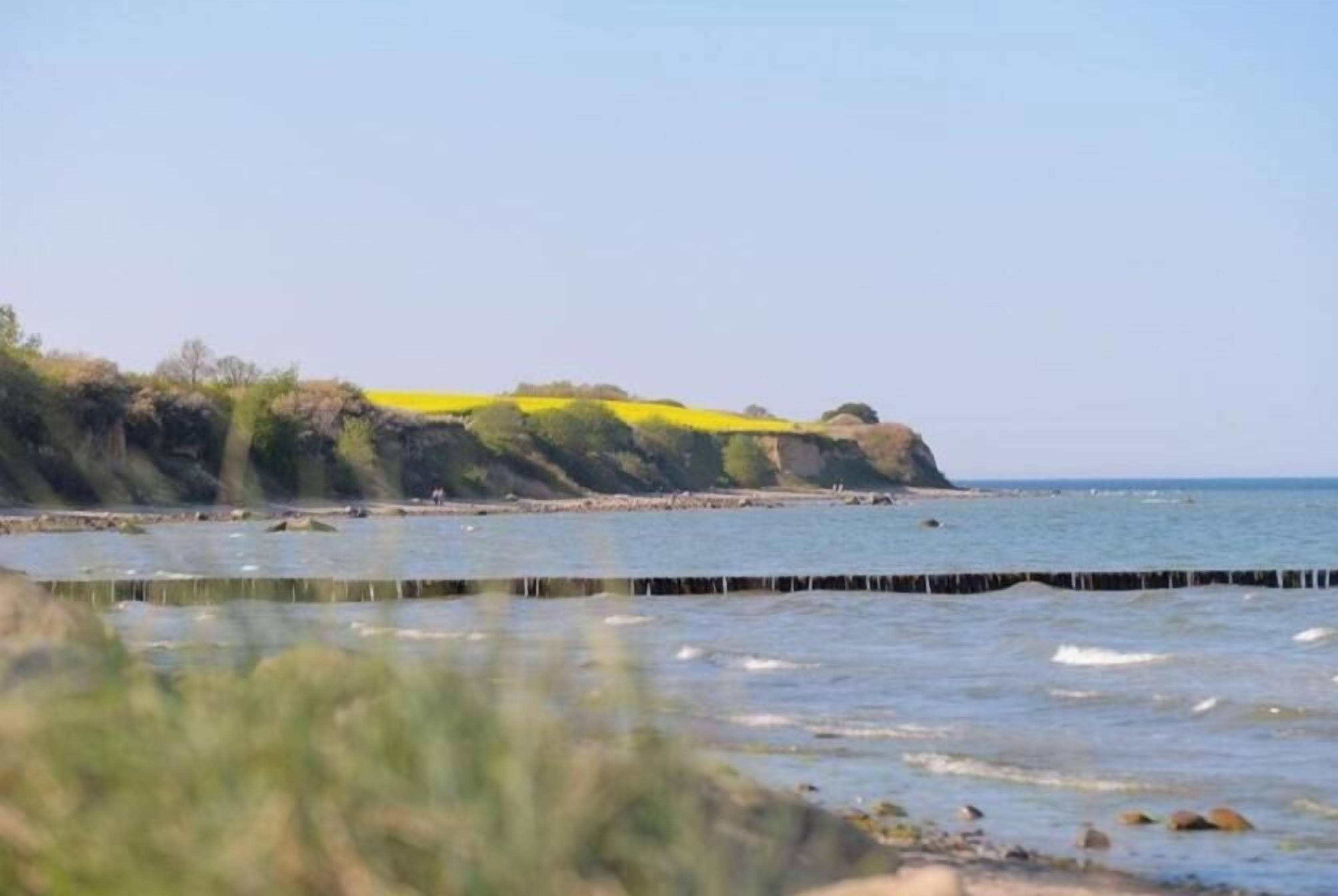 Eine Küstenlandschaft mit blauem Himmel, Wasser und einem fernen Landteil mit gelber Vegetation.