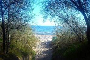 Un sentier qui mène à une plage, bordée d’arbres de chaque côté.