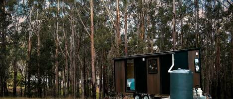A small, dark-colored mobile home with a single visible room, situated in a forested area with tall trees.