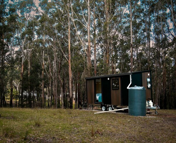 A small, dark-colored mobile home with a single visible room, situated in a forested area with tall trees.