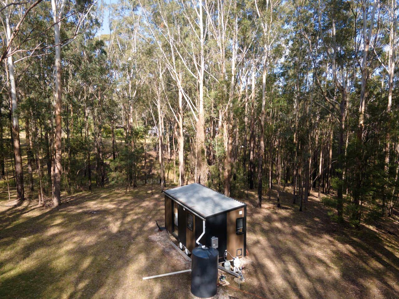 A small cabin in a forested area with a metal roof, surrounded by tall trees.