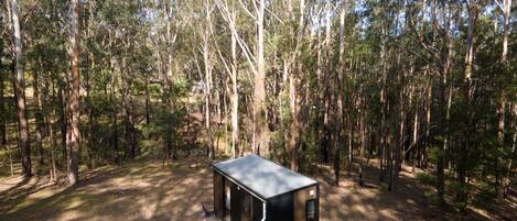 A small cabin in a forested area with a metal roof, surrounded by tall trees.