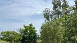 Oklassificerad bild, 4 av 18, knapp