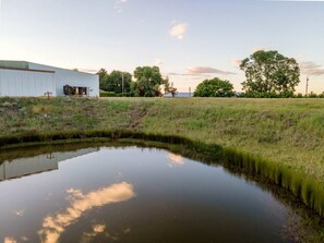 A rural landscape with a pond, a white building, and trees.