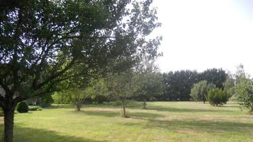A grassy field with trees and a clear sky.