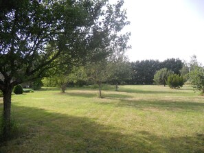 A grassy field with trees and a clear sky.