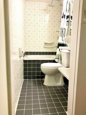 Een badkamer met toilet, douche en wastafel.