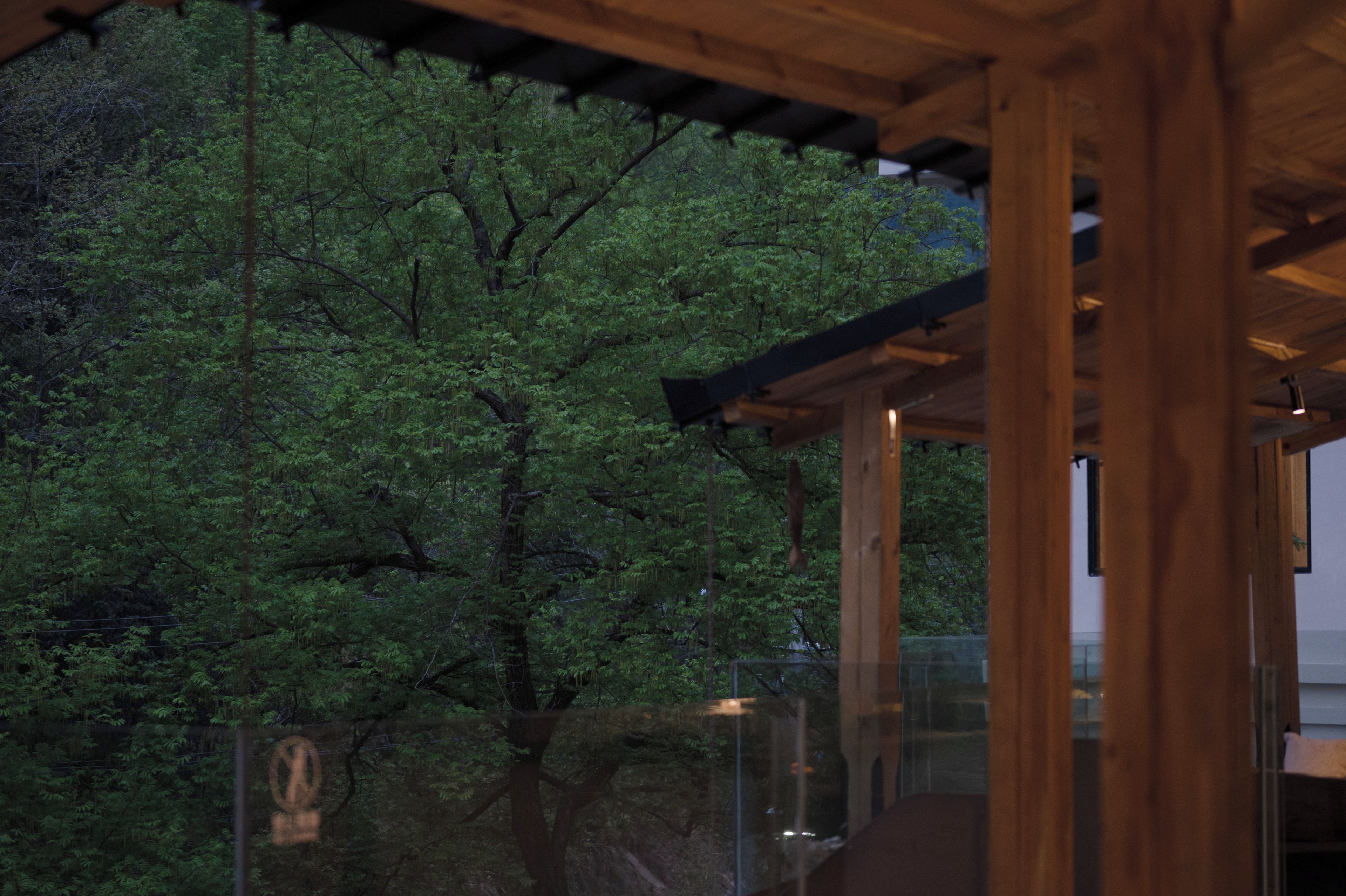 A wooden structure with a glass enclosure, overlooking a dense forest.