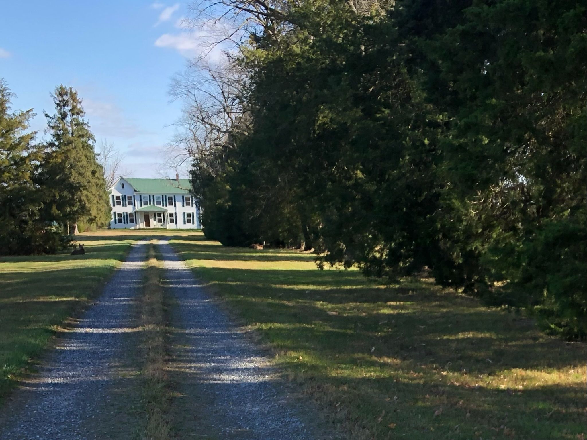 A gravel driveway leading to a large white building with a green roof, surrounded by dense trees.